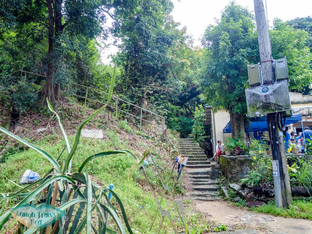 tai shui hang mtr to Madai stream Ma On Shan Hong Kong - laugh travel eat-4