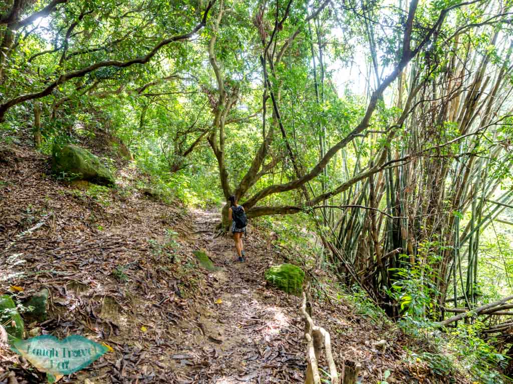 tai shui hang mtr to Madai stream Ma On Shan Hong Kong - laugh travel eat-6