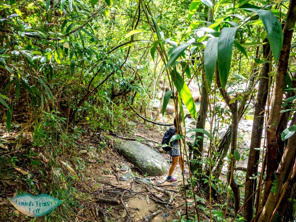tai shui hang mtr to Madai stream Ma On Shan Hong Kong - laugh travel eat-6