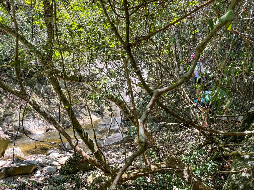 the water gate to square dams ping nam stream trek fanling new territories hong kong - Laugh Travel Eat