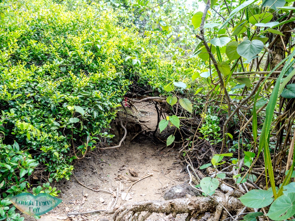 hei tsz wan village to po kwu wan pak tam chung country trail sai kung hong kong - laugh travel eat-2