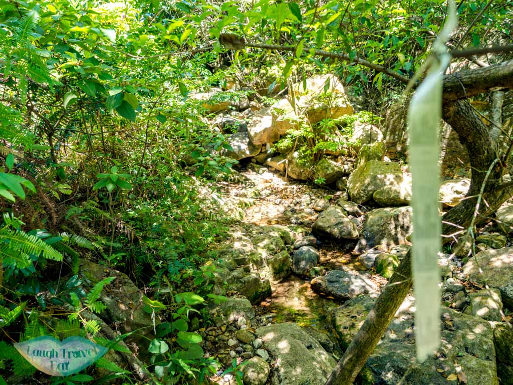 first streatch pak lung stream lantau island hong kong - laugh travel eat-3