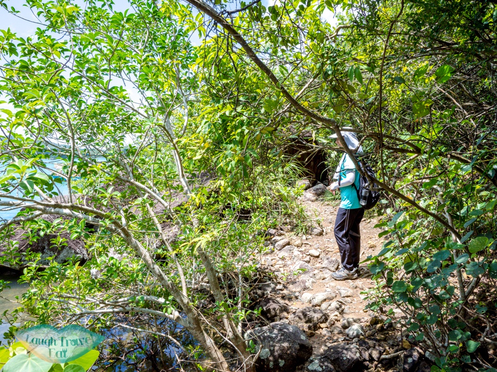hei tsz wan village to po kwu wan pak tam chung country trail sai kung hong kong - laugh travel eat-2
