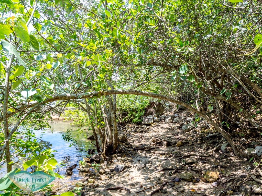 hei tsz wan village to po kwu wan pak tam chung country trail sai kung hong kong - laugh travel eat-2