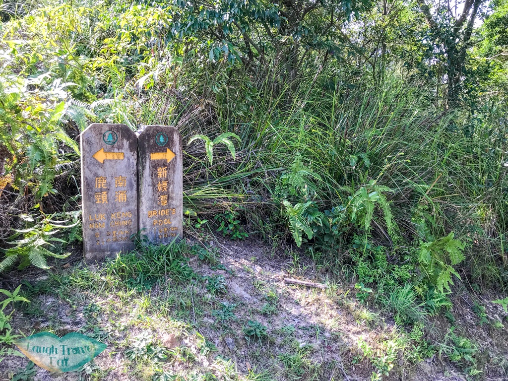 pak sin leng country trail out of wang chung stream hong kong - laugh travel eat-3