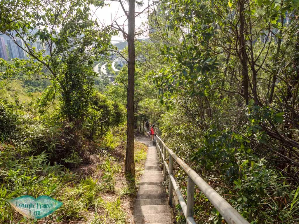 small trail down back tung chung pak lung stream lantau island hong kong - laugh travel eat-2