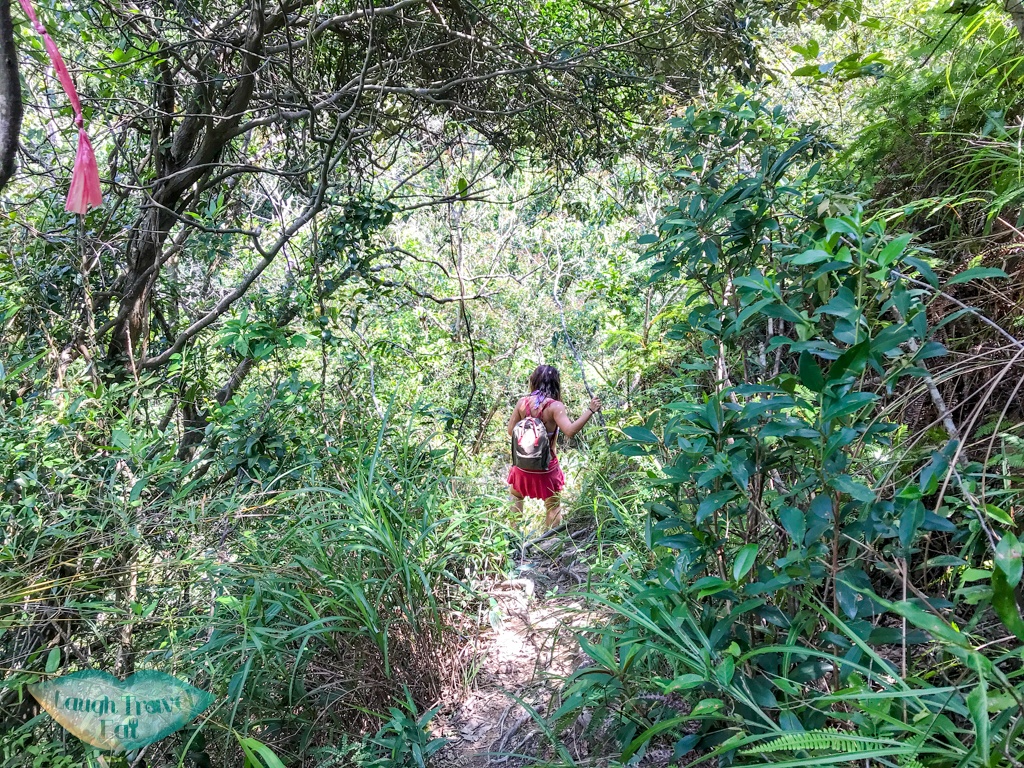 swimming pool fall to a quiet pool wang chung stream hong kong - laugh travel eat-2