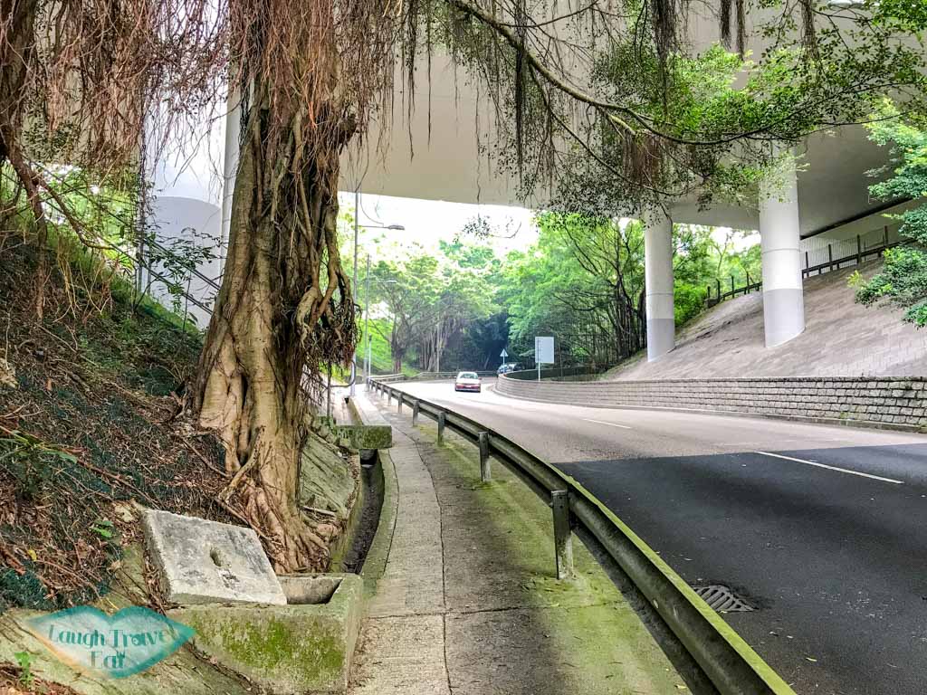 ho fung secondary school to pineapple dam tai shing stream hong kong - laugh travel eat-2