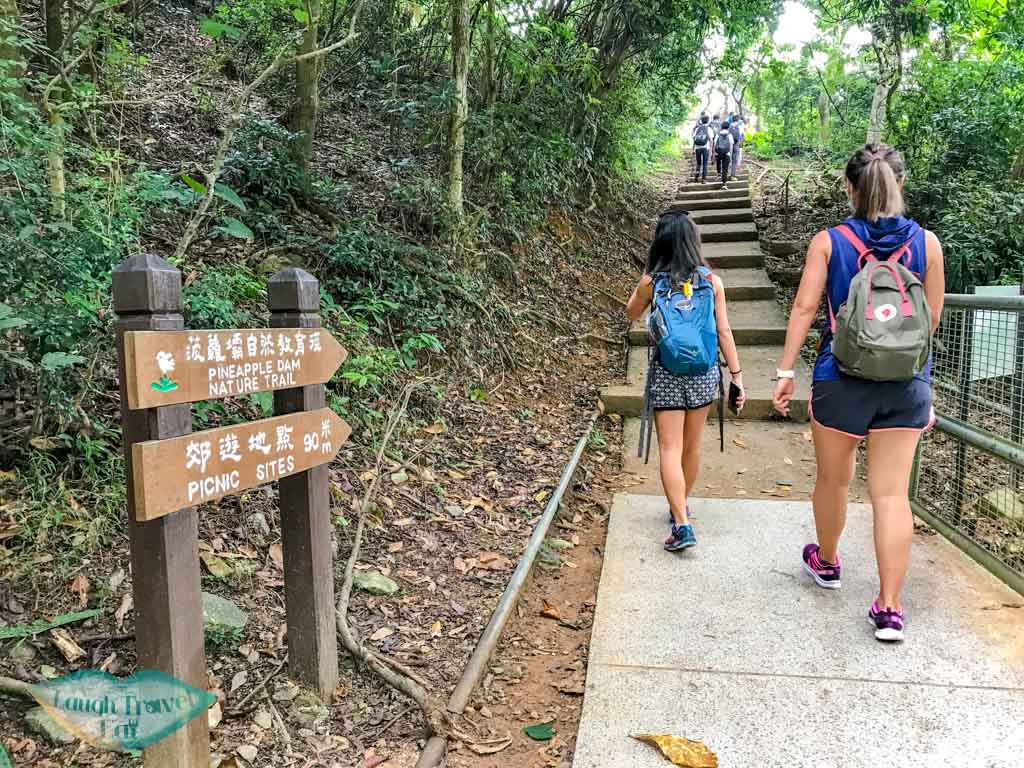 pineapple dam nature trail shing mun reservoir tai shing stream hong kong - laugh travel eat-2