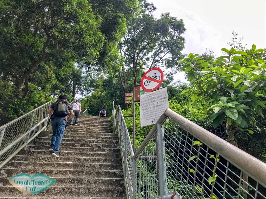 pineapple dam nature trail shing mun reservoir tai shing stream hong kong - laugh travel eat-2