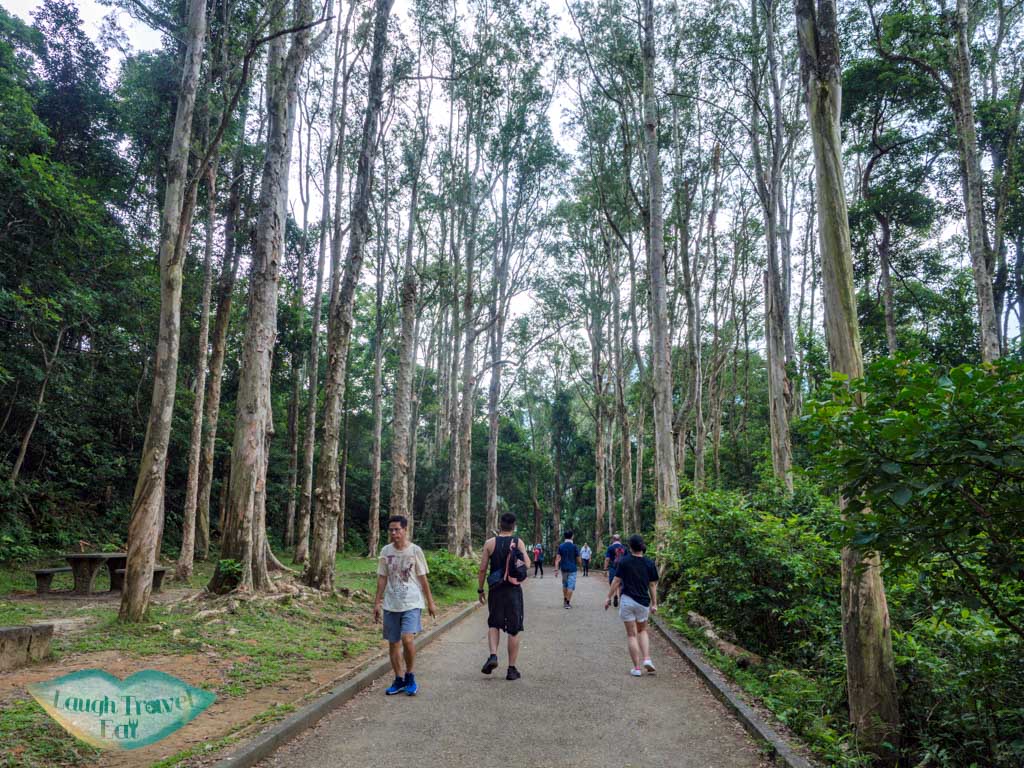 to picnic site 6 shing mun reservoir tai shing stream hong kong - laugh travel eat-2