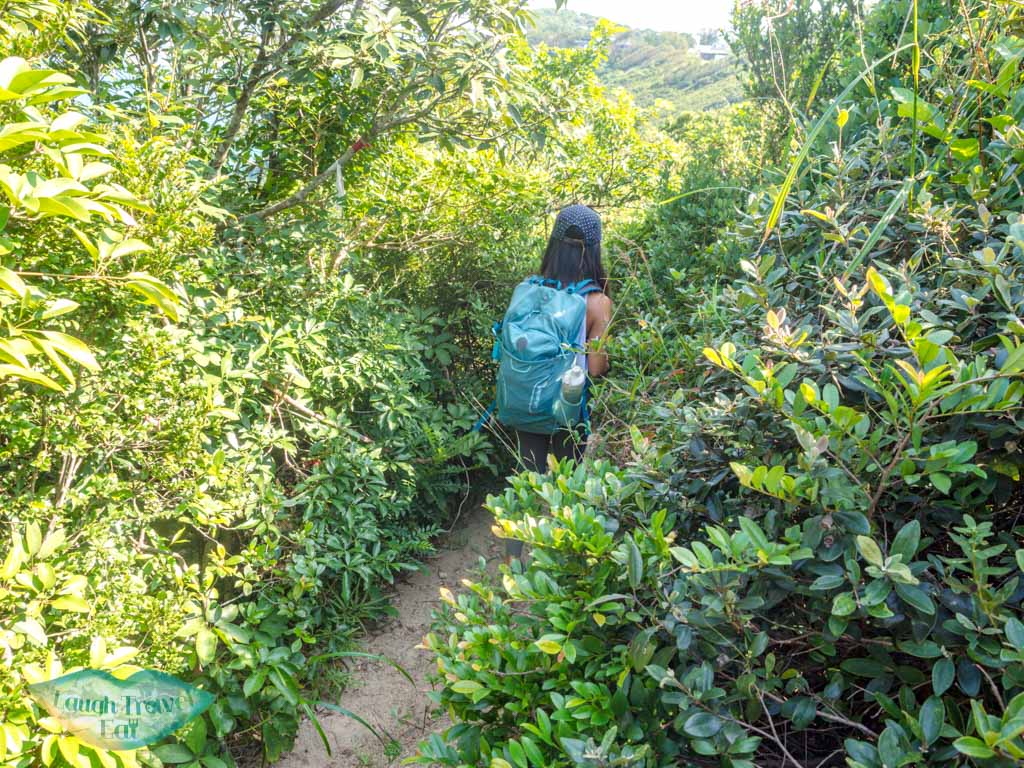 Che Pau Teng to rhino rock staneley hong kong - laugh travel eat-2