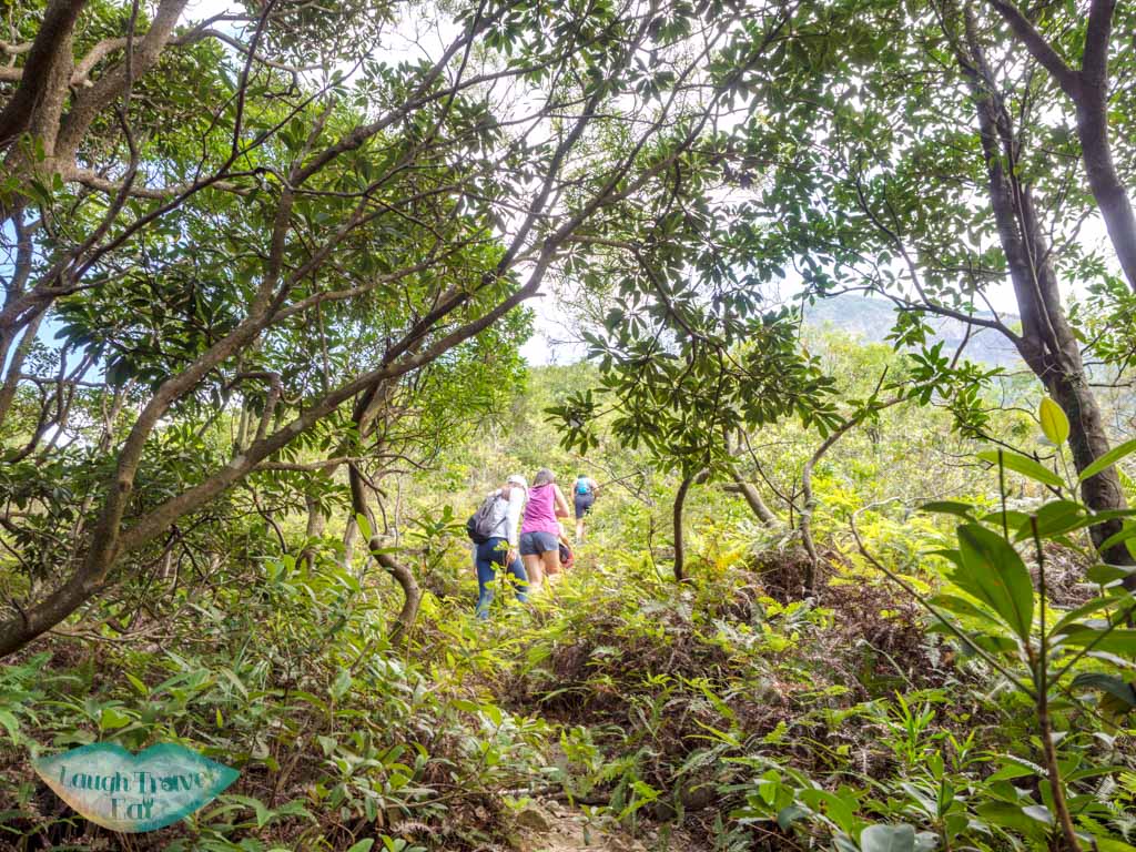 Wisdom Path to Upturn Bowl Rock River (Upper) lantau peak hong kong - laugh travel eat