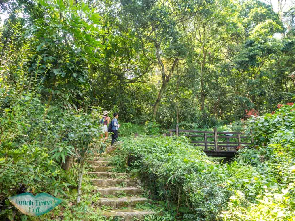 eco garden start of tsing tam reservoir path tsuen wan yuen long hong kong - laugh travel eat-2