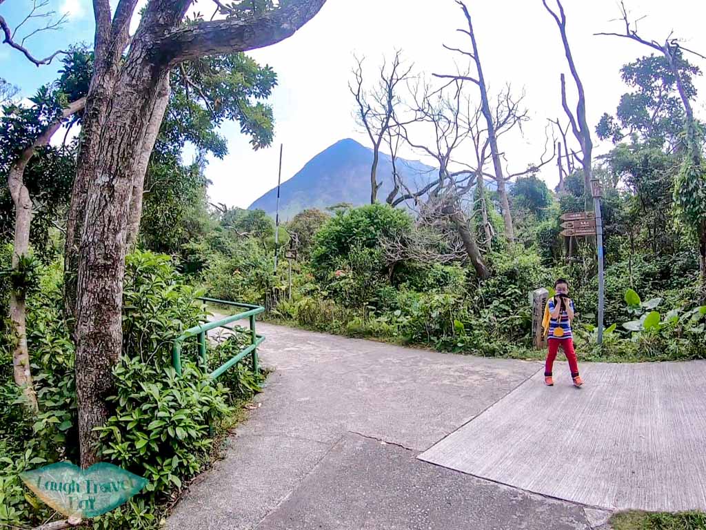 ngong ping to wisdom path lantau peak lantau island hong kong - laugh travel eat