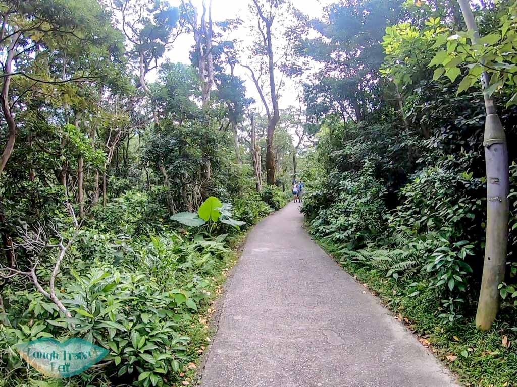 ngong ping to wisdom path lantau peak lantau island hong kong - laugh travel eat