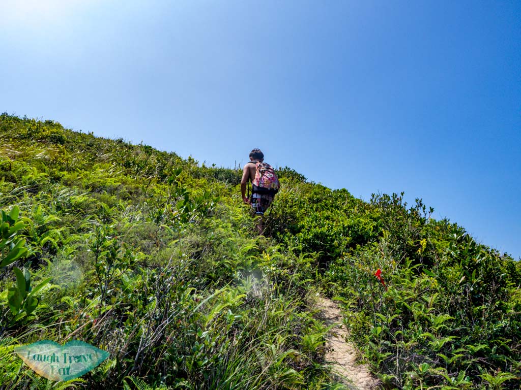 trail from goldfish arch top to view point jin island sai kung hong kong - laugh travel eat-2