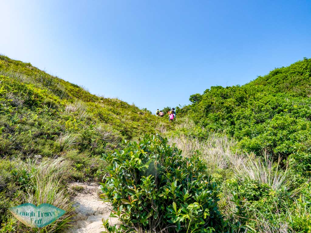 viewpoint to tai wong wan jin island sai kung hong kong - laugh travel eat-2