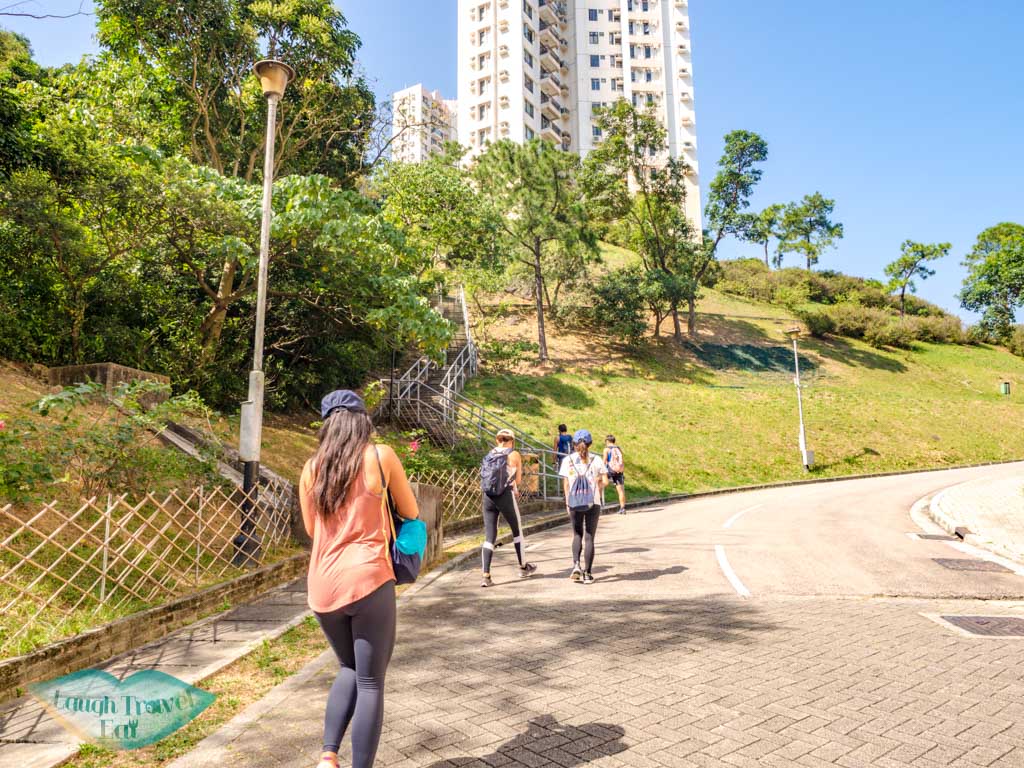 discovery bay to first trail start to lo fu tau lantau island hong kong - laugh travel eat