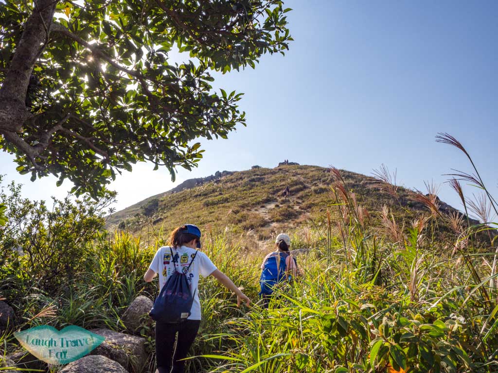 drone shot lo fu tau lantau island hong kong - laugh travel eat