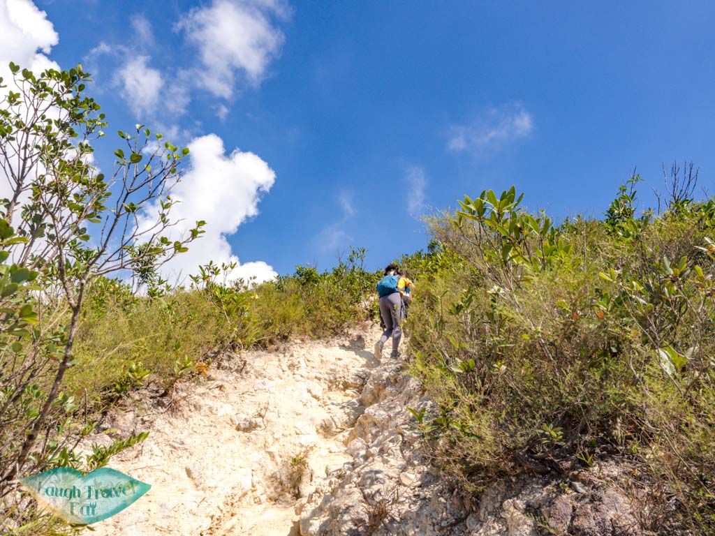 first stretch of mid kau nga trail start stop lantau island hong kong - laugh travel eat