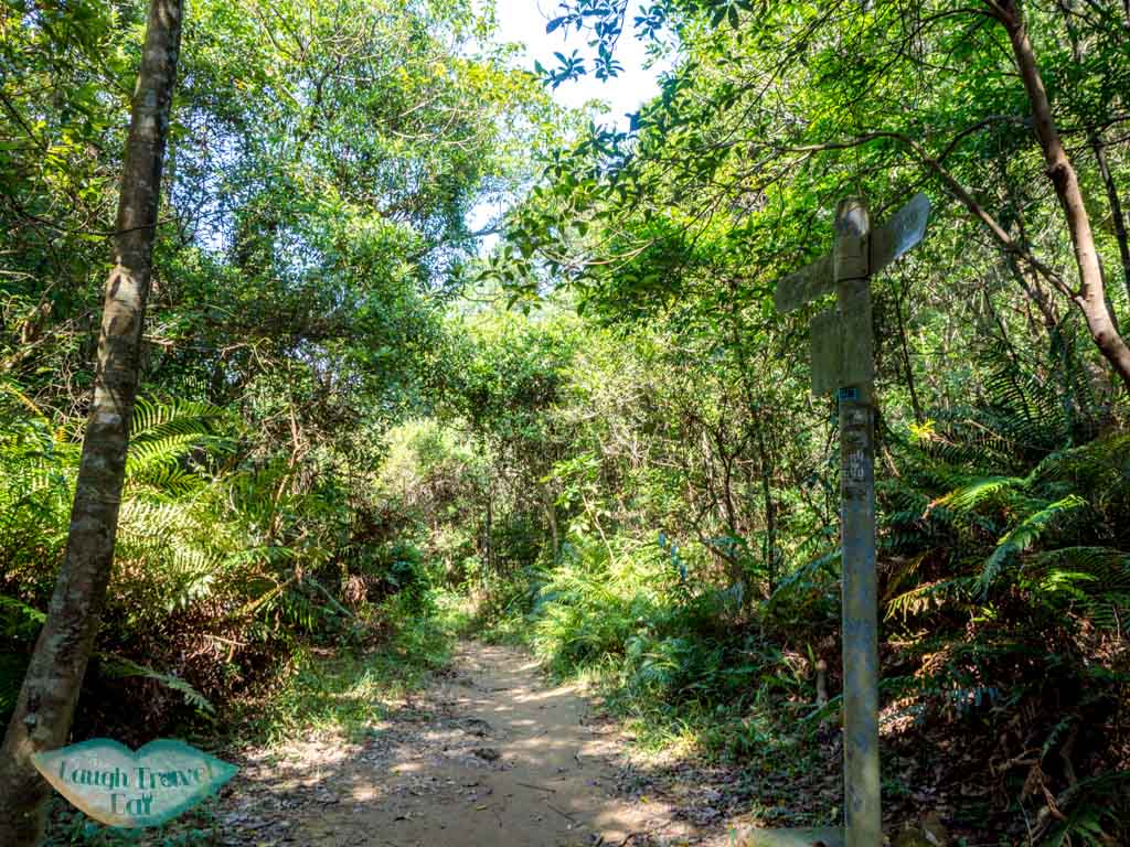 first stretch tseng lan shue to tai lam wu wilson trail stage 4 trail start tung yeung shan kowloon hong kong - laugh travel eat