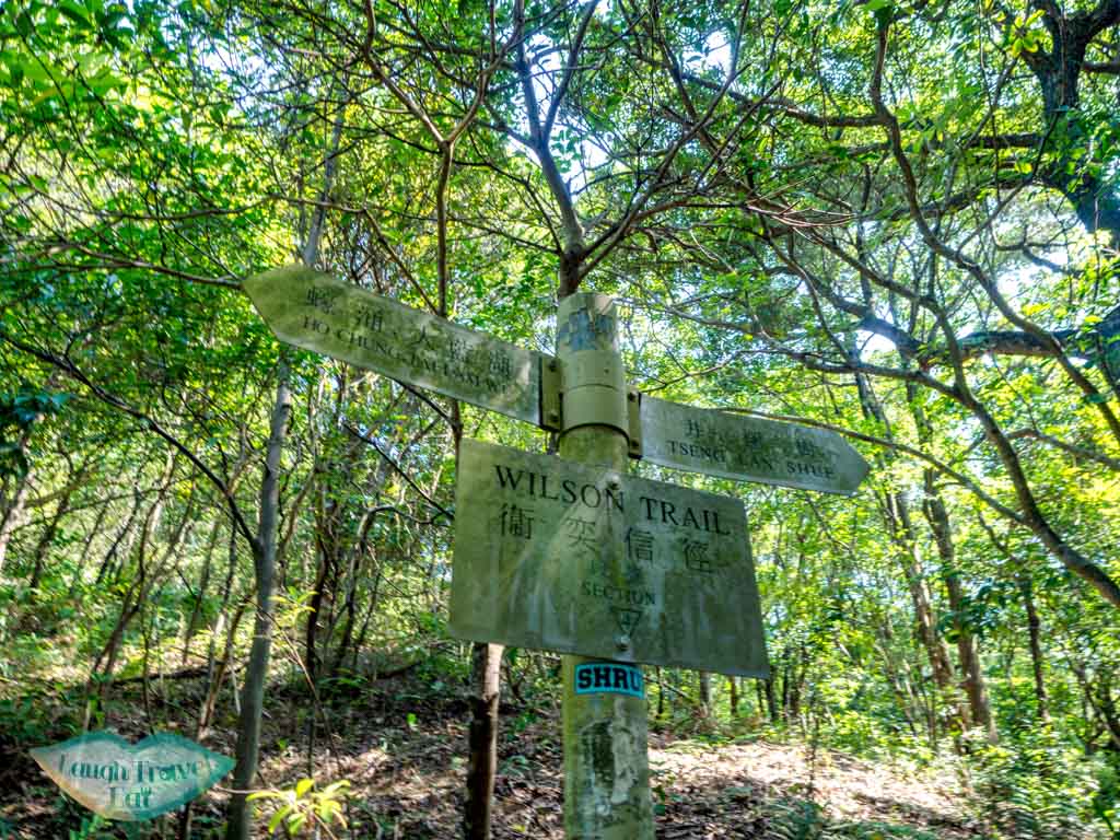 first stretch tseng lan shue to tai lam wu wilson trail stage 4 trail start tung yeung shan kowloon hong kong - laugh travel eat