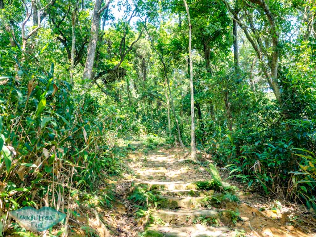 first stretch tseng lan shue to tai lam wu wilson trail stage 4 trail start tung yeung shan kowloon hong kong - laugh travel eat