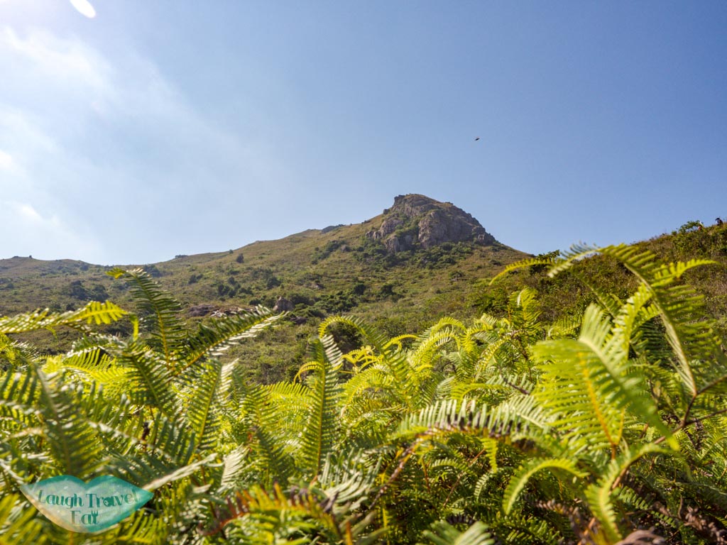 going up to lo fu tau lantau island hong kong - laugh travel eat