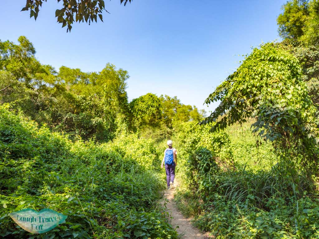going up to lo fu tau lantau island hong kong - laugh travel eat