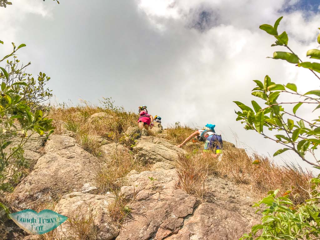 going up to one line of survivability kau nga range trail lantau island hong kong - laugh travel eat