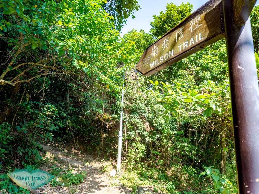 last stretch to tai lam wu to wilson trail stage 4 trail start tung yeung shan kowloon hong kong - laugh travel eat