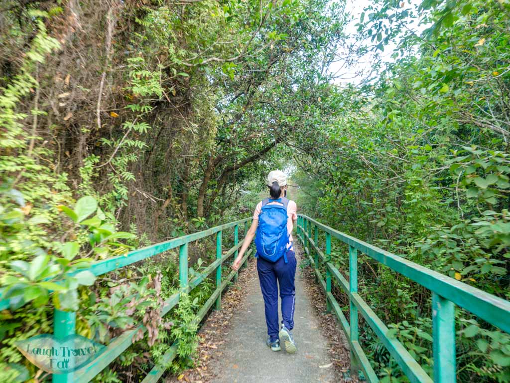 olympic trail to silvermine lo fu tau lantau island hong kong - laugh travel eat