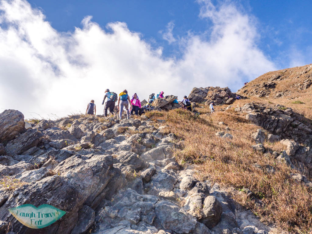 one line of survivability up to tsam chai au kau nga range trail lantau island hong kong - laugh travel eat