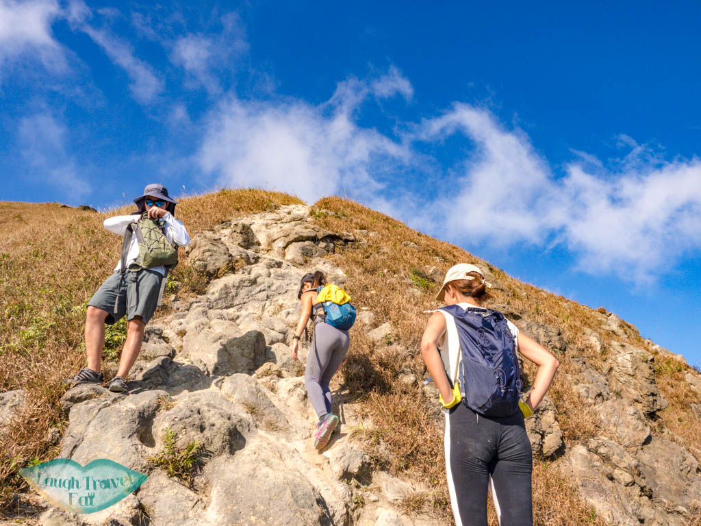 one line of survivability up to tsam chai au kau nga range trail lantau island hong kong - laugh travel eat