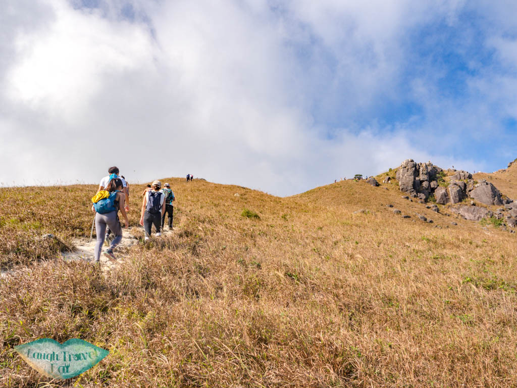 one line of survivability up to tsam chai au kau nga range trail lantau island hong kong - laugh travel eat