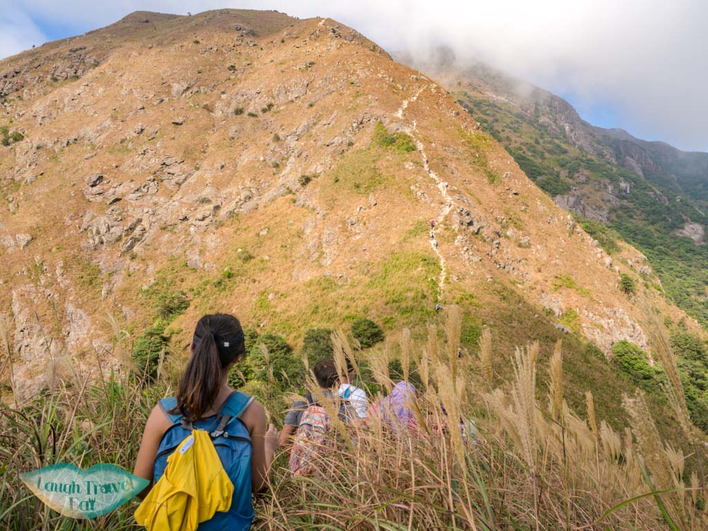 one line of survivability up to tsam chai au kau nga range trail lantau island hong kong - laugh travel eat