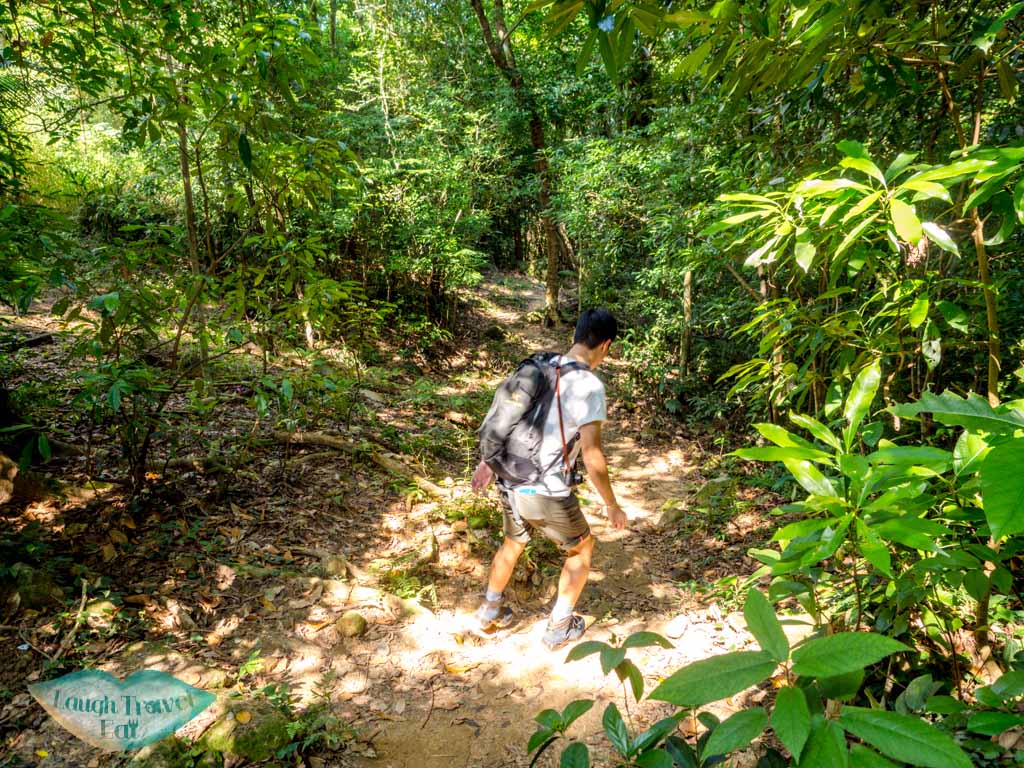 second stretch tseng lan shue to tai lam wu wilson trail stage 4 trail start tung yeung shan kowloon hong kong - laugh travel eat-3