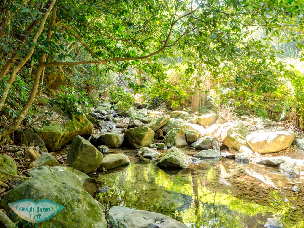 second stretch tseng lan shue to tai lam wu wilson trail stage 4 trail start tung yeung shan kowloon hong kong - laugh travel eat-3