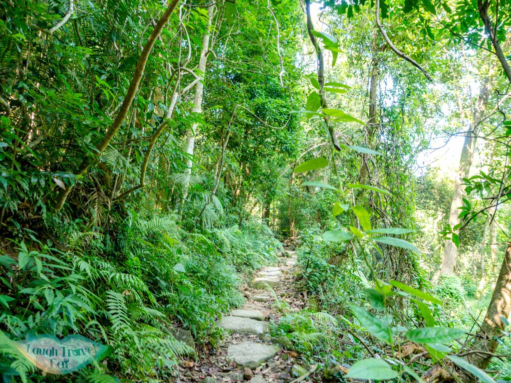 second stretch tseng lan shue to tai lam wu wilson trail stage 4 trail start tung yeung shan kowloon hong kong - laugh travel eat-5