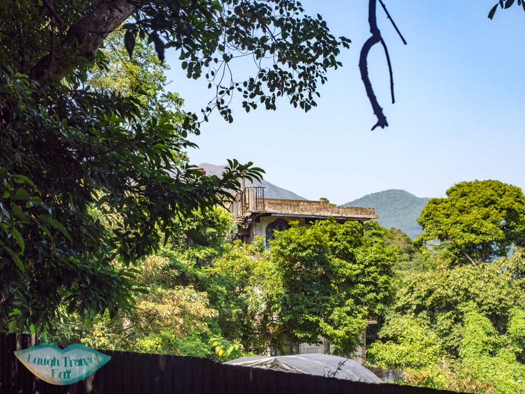 second stretch tseng lan shue to tai lam wu wilson trail stage 4 trail start tung yeung shan kowloon hong kong - laugh travel eat-5