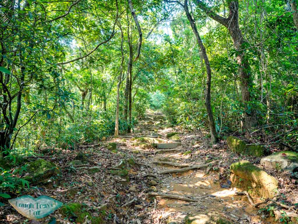 tai lam wu to tung yeung shan kowloon hong kong - laugh travel eat