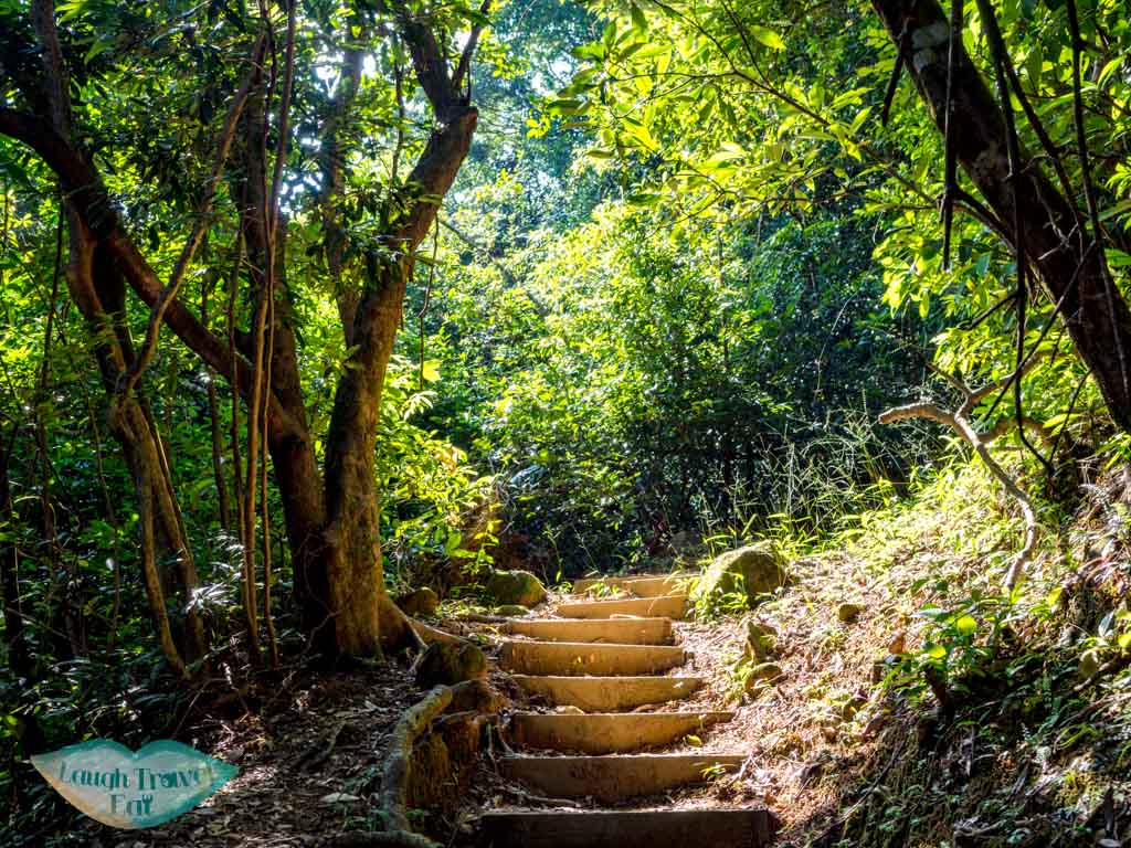 tai lam wu to tung yeung shan kowloon hong kong - laugh travel eat