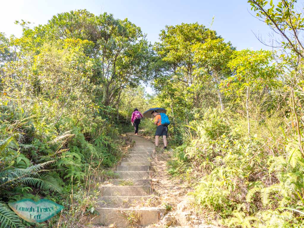 tai lam wu to tung yeung shan kowloon hong kong - laugh travel eat