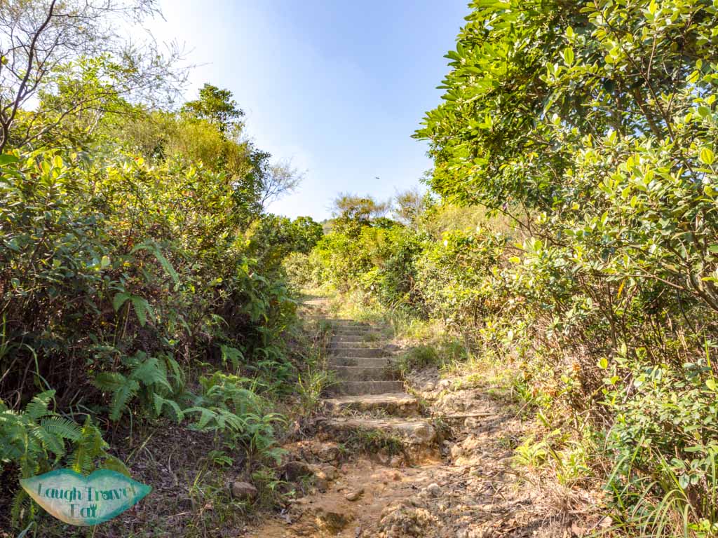 tai lam wu to tung yeung shan kowloon hong kong - laugh travel eat