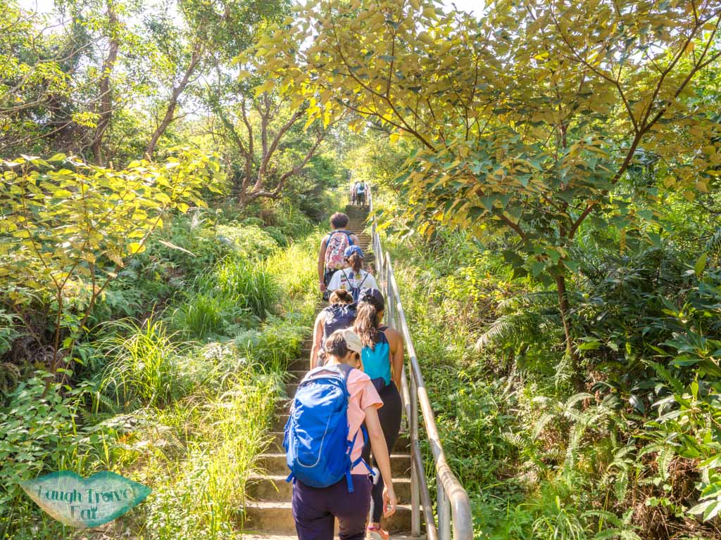 to official trail start to lo fu tau lantau island hong kong - laugh travel eat