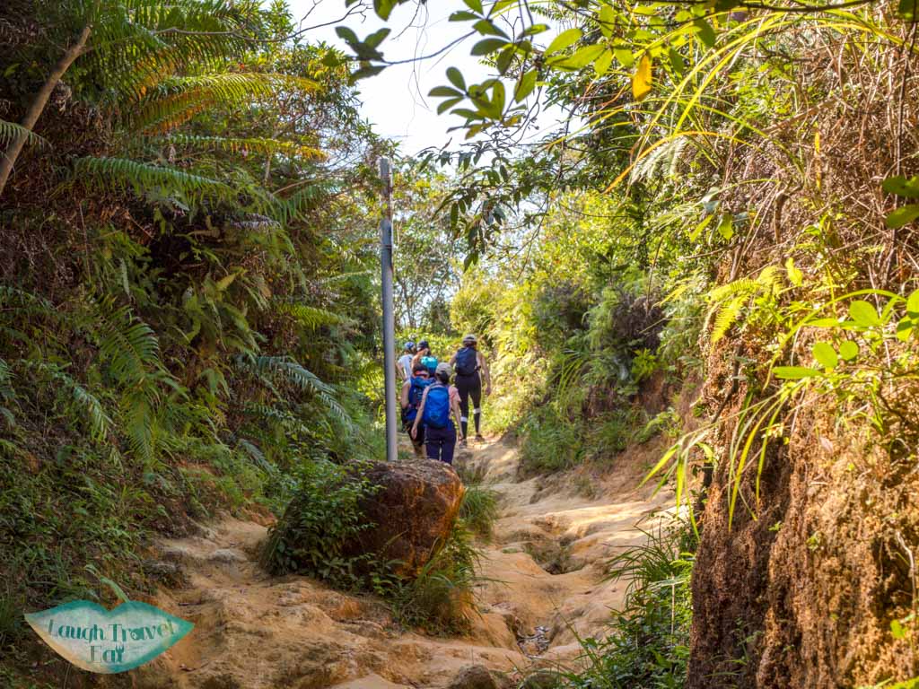 to official trail start to lo fu tau lantau island hong kong - laugh travel eat