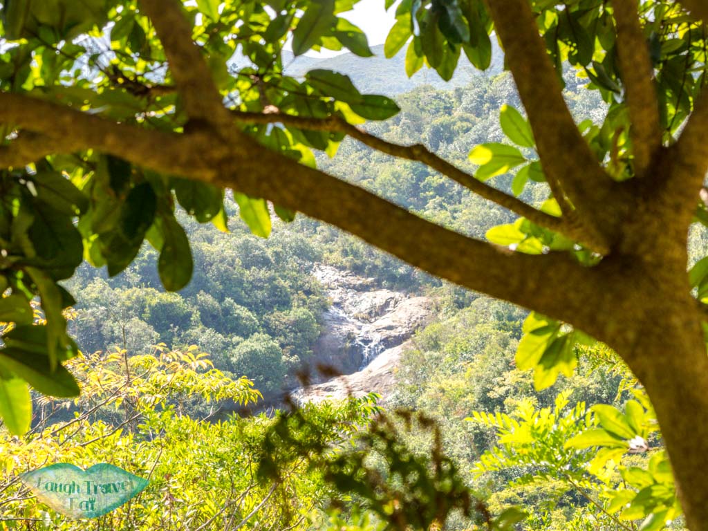 to official trail start to lo fu tau lantau island hong kong - laugh travel eat