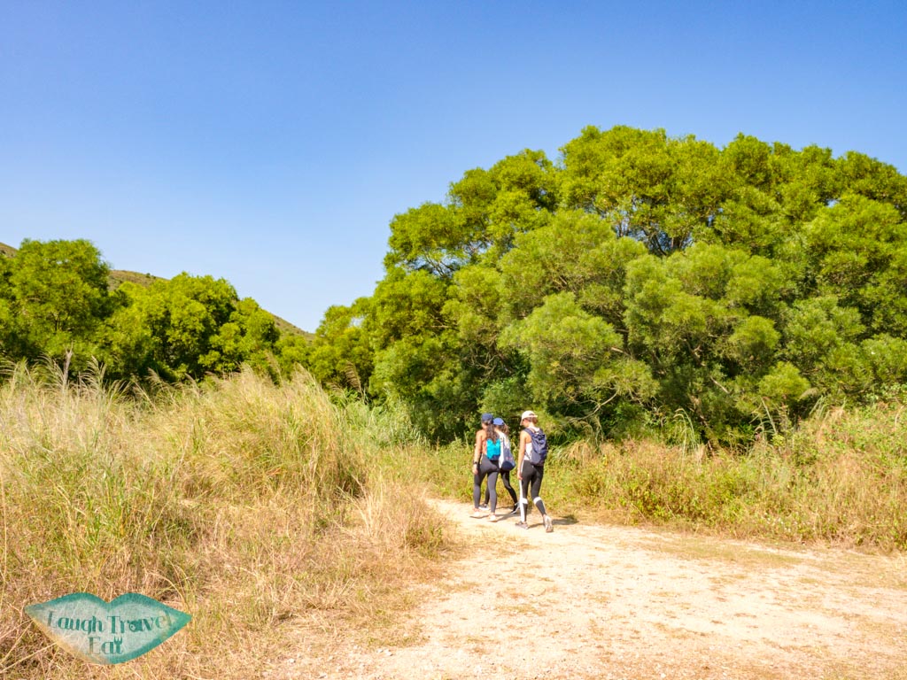 to official trail start to lo fu tau lantau island hong kong - laugh travel eat