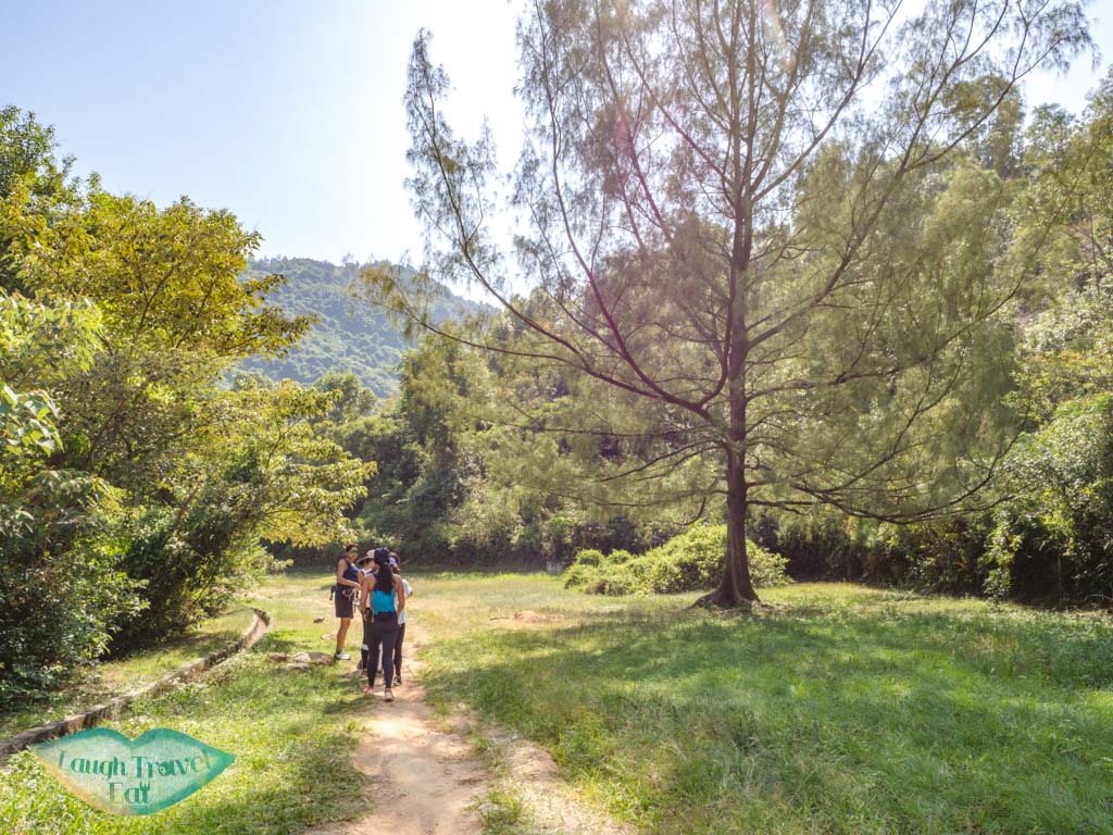 to official trail start to lo fu tau lantau island hong kong - laugh travel eat